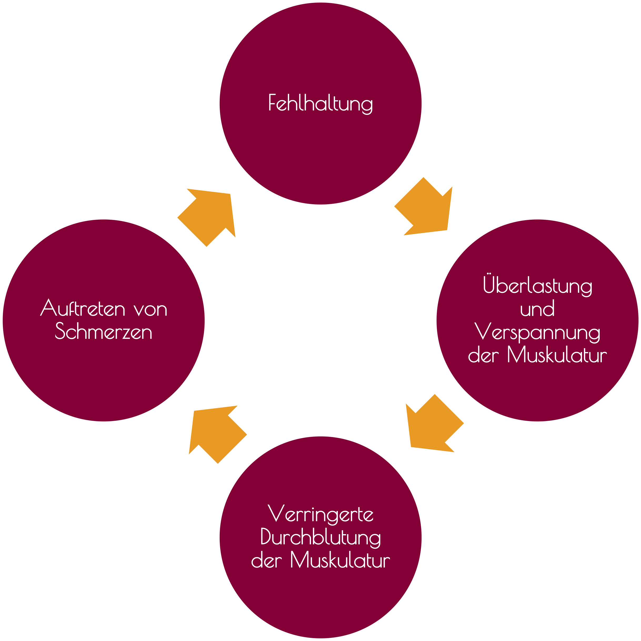 Kreislauf Diagramm